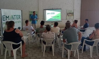 EMATER-MG incentiva produção de alho na Zona da Mata Mineira