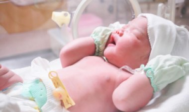 MPMG recomenda aos municípios da comarca de Viçosa a adoção de medidas voltadas ao combate da mortalidade materna e infantil