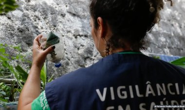 Com 32,3 mil casos prováveis, MG deve atingir pico da dengue em março