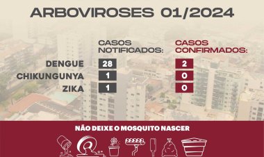 Informativo Epidemiológico de Arboviroses 01/2024