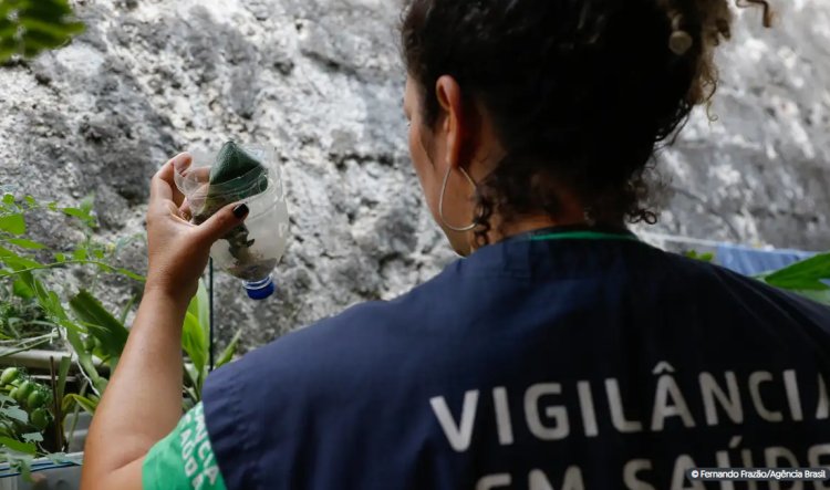 Com 32,3 mil casos prováveis, MG deve atingir pico da dengue em março