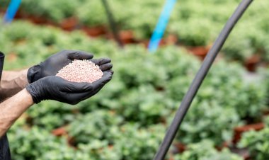 Ubá: Produtores rurais podem se inscrever para receber fertilizante