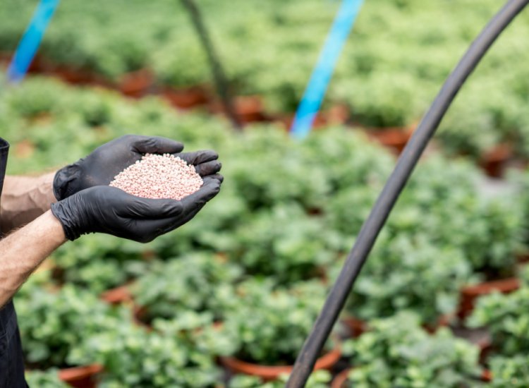 Ubá: Produtores rurais podem se inscrever para receber fertilizante