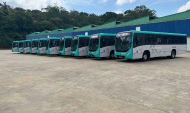 Transporte público de Ubá recebe 10 novos ônibus