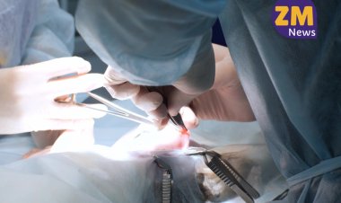 Prefeitura de Ubá realiza serviço gratuito de castração animal