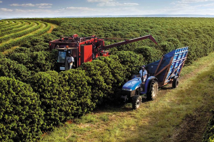 Exportações do agro mineiro superam US$ 14 bilhões em 2024