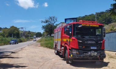 Ubá: Incêndio às margens da rodovia com prisão do incendiário
