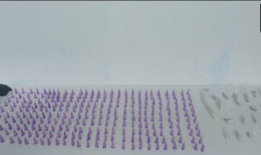 Polícia Militar apreende drogas e simulacro de arma de fogo no Agroceres