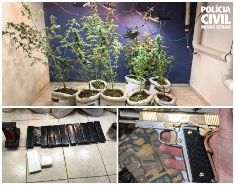 PCMG prende casal que mantinha bunker para cultivo e preparo de drogas