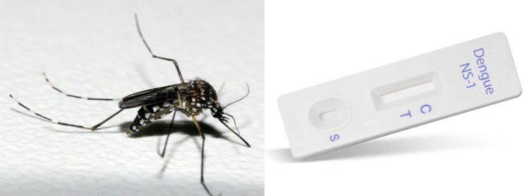 Governo de Minas vai distribuir testes rápidos de diagnóstico de dengue aos municípios