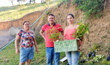Guiricema recebe 200 mudas para reflorestamento
