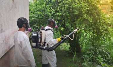 Prefeitura de Viçosa segue com aplicação de UBV em bairros com casos confirmados de dengue