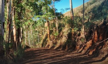 Prefeitura de Viçosa promove melhorias nas estradas rurais