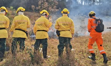 Corpo de Bombeiros abre 280 vagas temporárias para brigadistas florestais