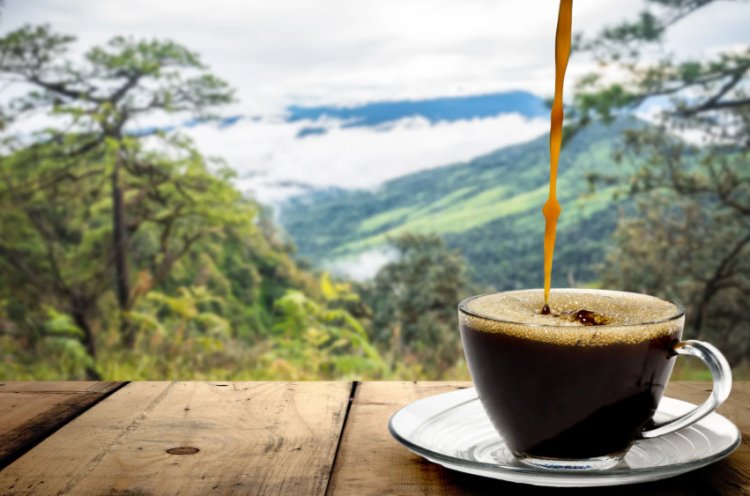 Dia Mundial do Café celebra tradição, economia e paixão pela bebida mais querida do planeta
