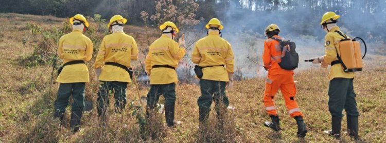 Corpo de Bombeiros abre 280 vagas temporárias para brigadistas florestais