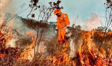 Bombeiros intensificam treinamentos para mais de 300 agentes para o período crítico de incêndios em vegetação em Minas Gerais