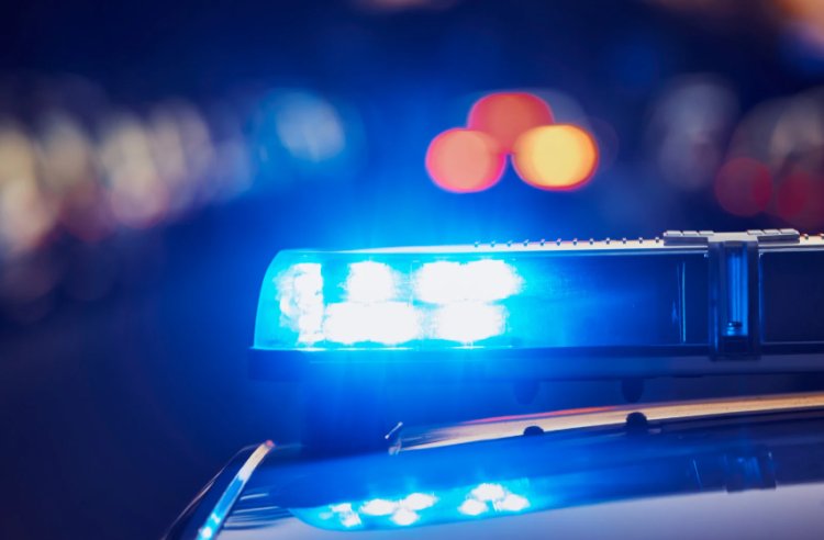 Polícia Militar apreende drogas e munição durante operação em Diamante de Ubá