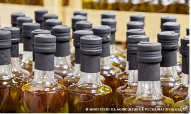 Anvisa proíbe venda de azeite e suspende doce de leite e sal grosso