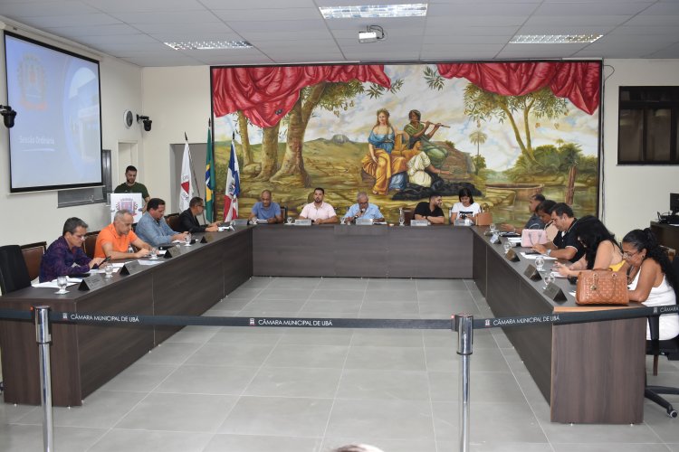 Ubá: Vereadores aprovam importantes projetos de lei em reunião ordinária