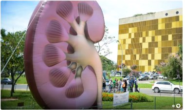 Dia Mundial do Rim: doenças renais são silenciosas e exigem atenção