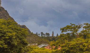 Defesa Civil alerta para risco de chuvas intensas e tempestades em Minas neste fim de semana